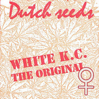 White K.C.® (Fem)