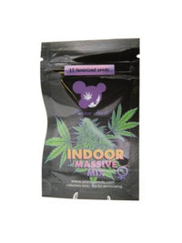 Indoor Massive Mix