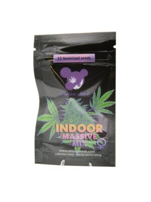 Indoor Massive Mix