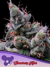 Strawberry Kush