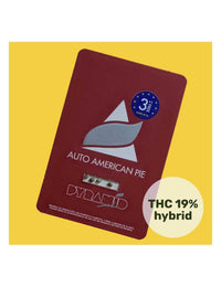 Auto American Pie