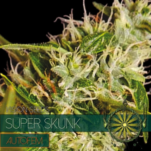 Super Skunk – AutoFem