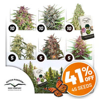Confezione Promo Outdoor