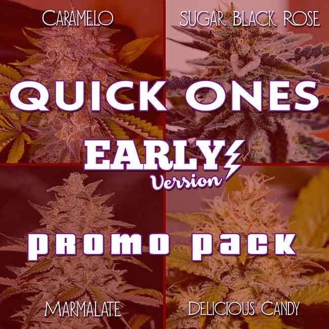 QUICK ONES PROMO PACK