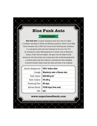 Blue Cheese Auto di Expert Seeds