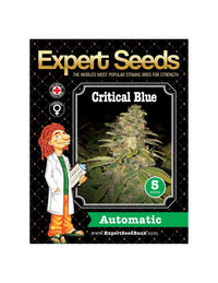 Critical Blue Auto di Expert Seeds