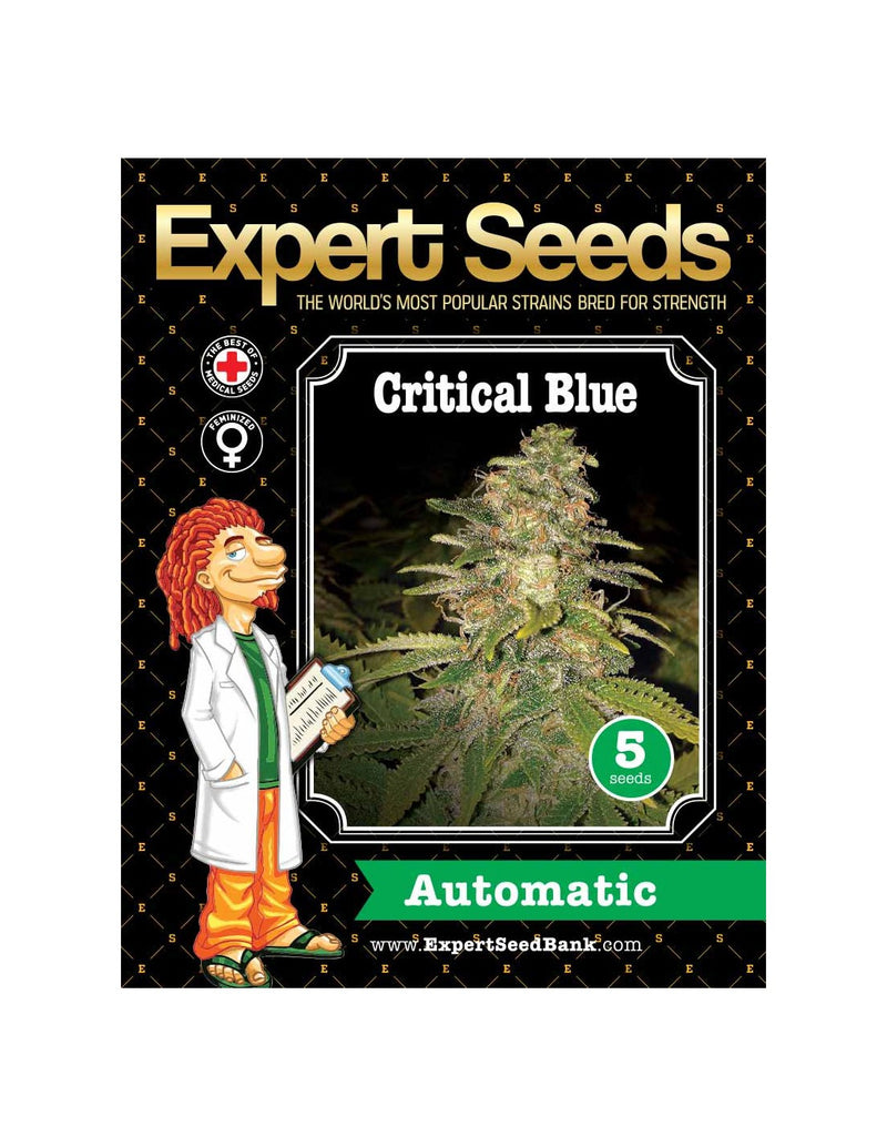 Critical Blue Auto di Expert Seeds