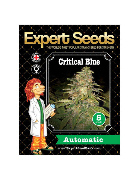 Critical Blue Auto di Expert Seeds