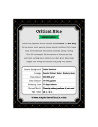Critical Blue Auto di Expert Seeds