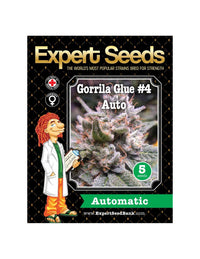 Expert Gorilla Auto di Expert Seeds