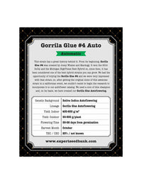 Expert Gorilla Auto di Expert Seeds