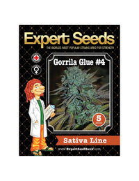 Expert Gorilla di Expert Seeds