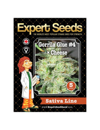 Gorilla Cheese di Expert Seeds