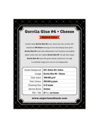 Gorilla Cheese di Expert Seeds