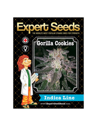 Gorilla Cookies di Expert Seeds