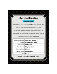 Gorilla Cookies di Expert Seeds