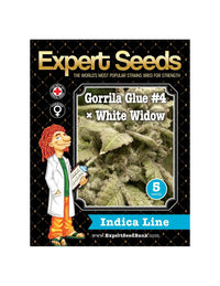 Gorilla x White Widow di Expert Seeds