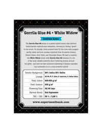 Gorilla x White Widow di Expert Seeds