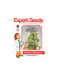 Nurse Lilly CBD di Expert Seeds