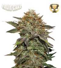 Fruit Cake© Semi di cannabis femminizzati