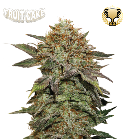 Fruit Cake© Semi di cannabis femminizzati