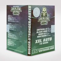 Dealer Deal Automix: 12 Semi BSF