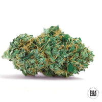 AUTO GELATO SAMBA