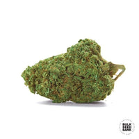 AUTO CRITICAL