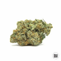 CBD GOOD WILD SHARK