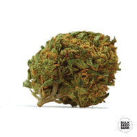 DUBAI POISON