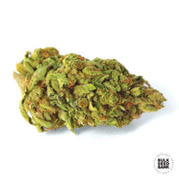 MARLEY’S BUD