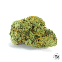NORTHERN LIGHT