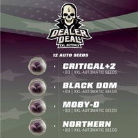 Dealer Deal Automix: 12 Semi BSF