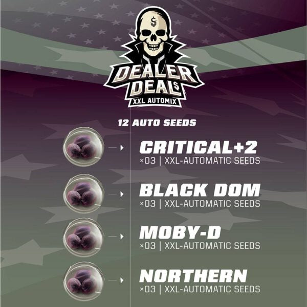 Dealer Deal Automix: 12 Semi BSF