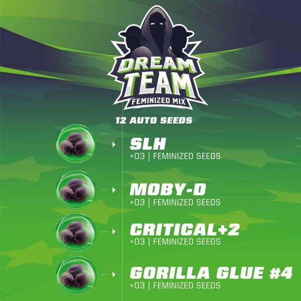 Dream Team Femminized Mix: la migliore genetica femminizzata
