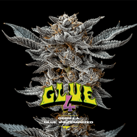 Gorilla Kingdom Glue #4