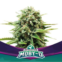 Moby D