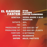 El Gaucho Faster Flowering