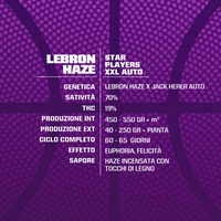 Lebron Haze XXL Auto