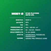 Moby D XXL Auto