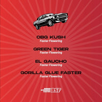 Faster and Furious Mix