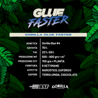 Gorilla Kingdom Faster