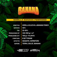 Gorilla Kingdom Banana