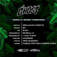 Gorilla Kingdom Ghost
