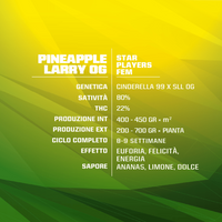 Pineapple Larry OG