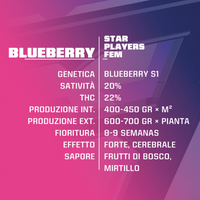 Blueberry Fem