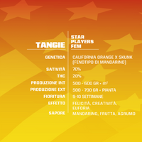 Tangie
