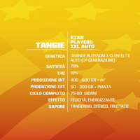 Tangie XXL Auto