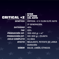 Critical +2 XXL Auto