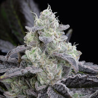 L.A Vanilla Cake